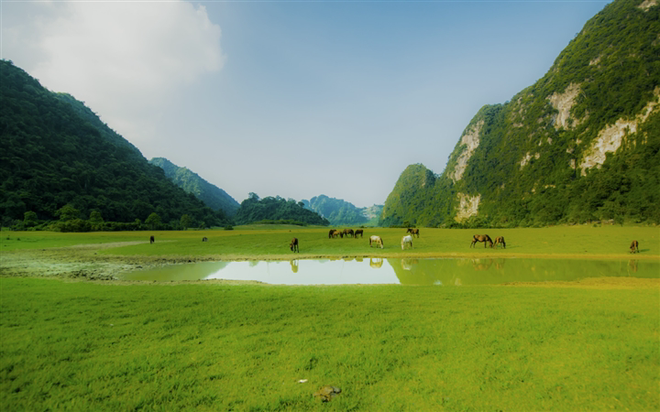 Những &quot;miền thảo nguyên xanh&quot; ở Việt Nam khiến du khách lưu luyến từ cái nhìn đầu tiên - Ảnh 6.