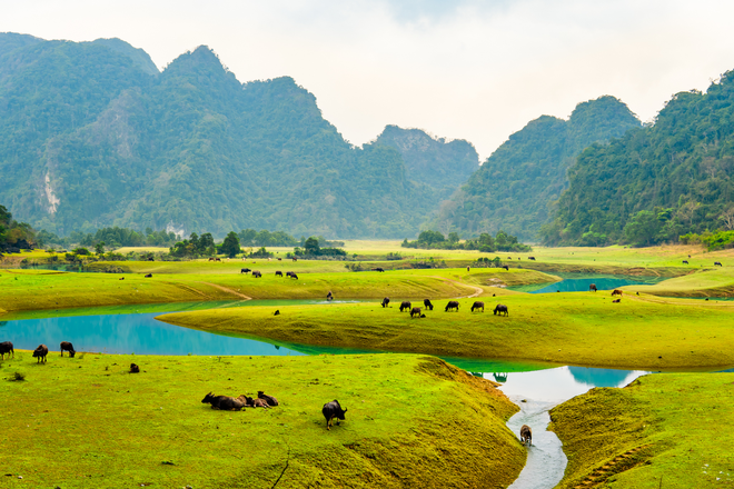 Những &quot;miền thảo nguyên xanh&quot; ở Việt Nam khiến du khách lưu luyến từ cái nhìn đầu tiên - Ảnh 4.