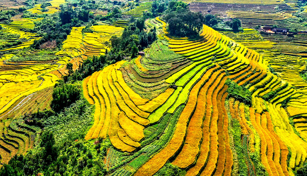 Mùa vàng Bình Liêu trong mắt du khách - Báo Quảng Ninh điện tử