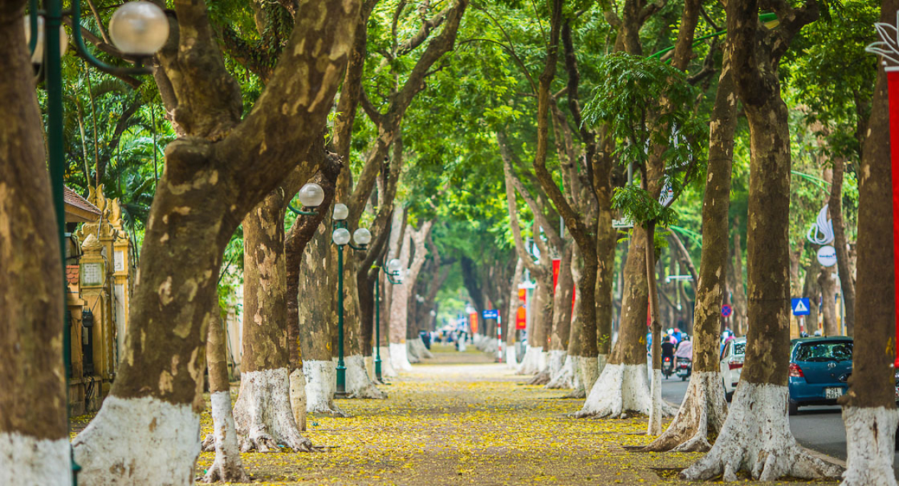 3 walking tours of Hanoi | Vietnam Tourism