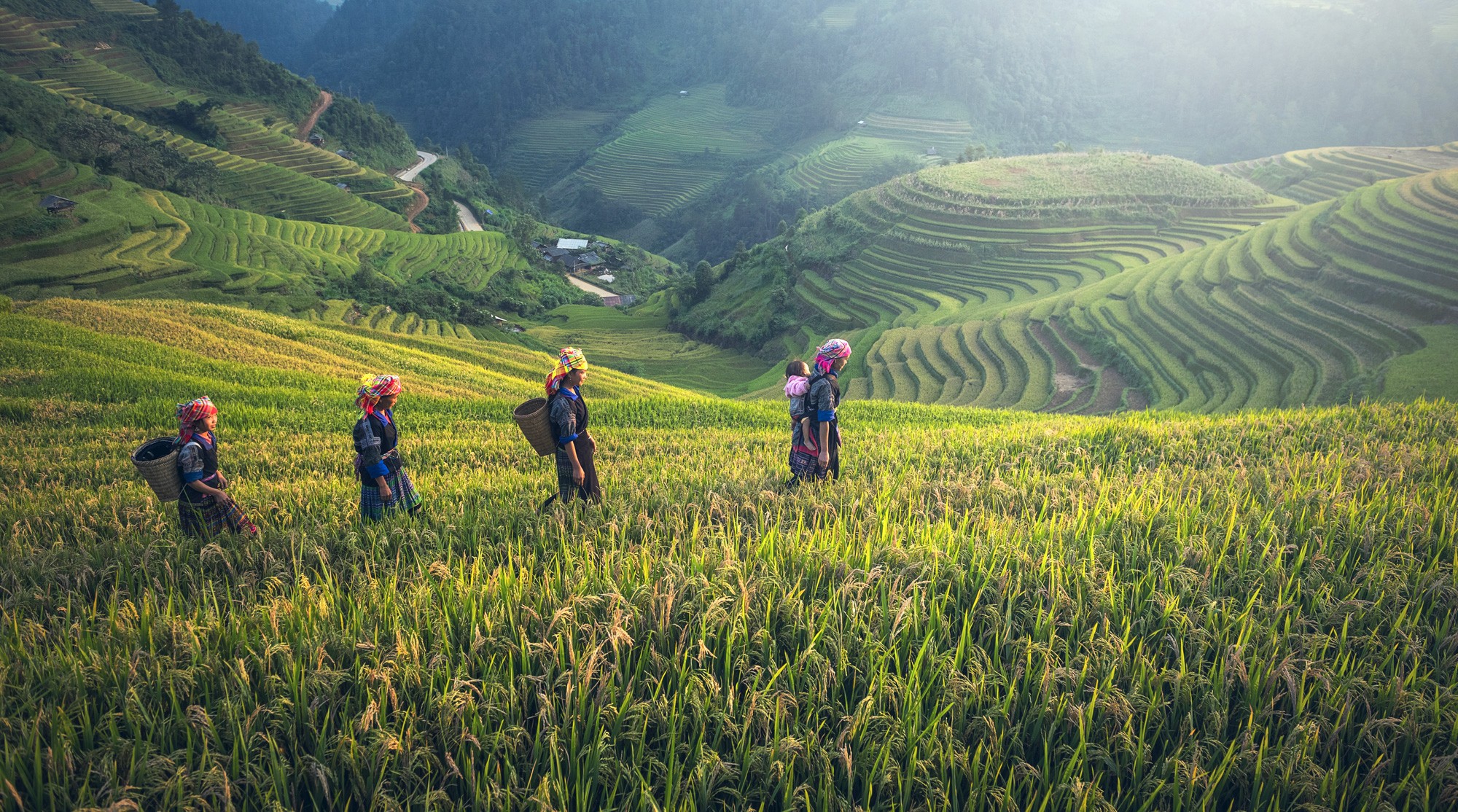 Beautiful hike in Sapa in Vietnam - Rice fields, forgotten tribes, ...