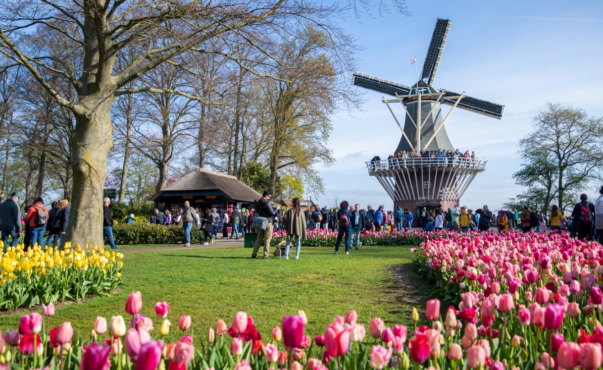 Chiêm ngưỡng vườn hoa tulip Keukenhof lớn nhất thế giới tại Hà Lan