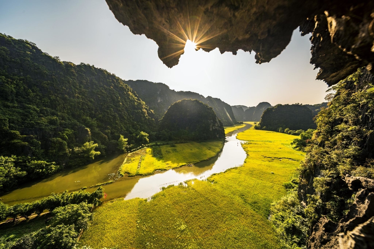 Tam Cốc Ninh Bình mùa lúa chín