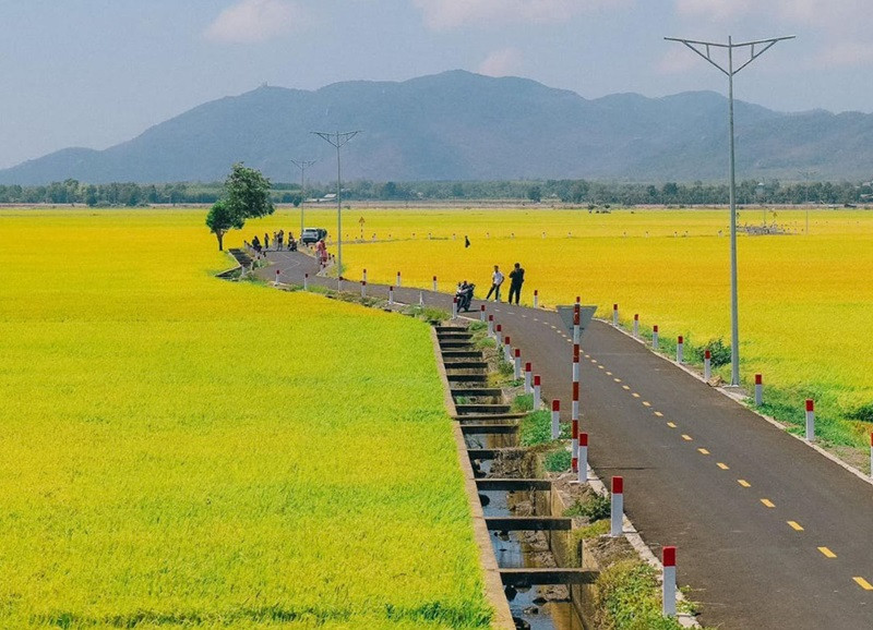 Tìm đường đến cánh đồng lúa An Nhứt - khu ẩm thực vạn món ngon