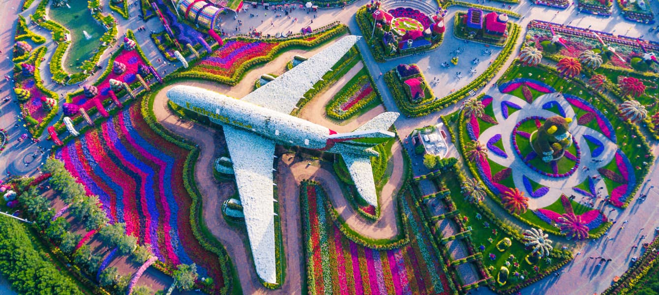 The Dubai Miracle Garden - A Visual Feast