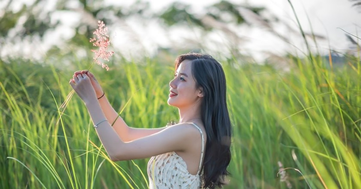 Màu trắng tinh khôi và mỏng manh của lau trên nền cỏ xanh trong nắng gió đã  tạo nên một bức tranh hữu tình.