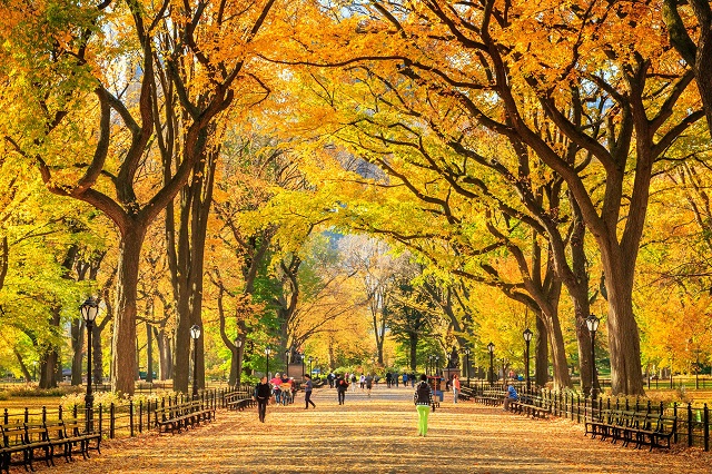 Ngắm sắc thu lãng mạn tại công viên Central Park – New York